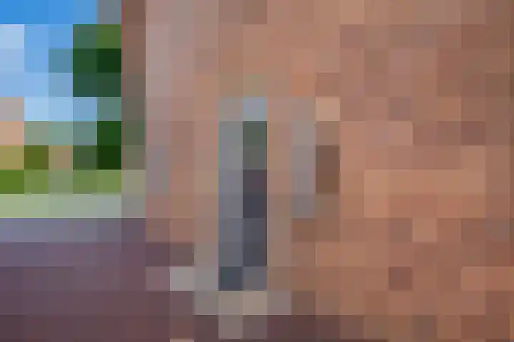 Lombok 56 Zoetermeer thumbnail 9