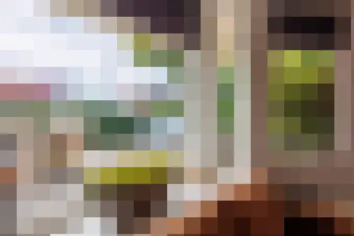 Lomboklaan 1 Leersum thumbnail 12