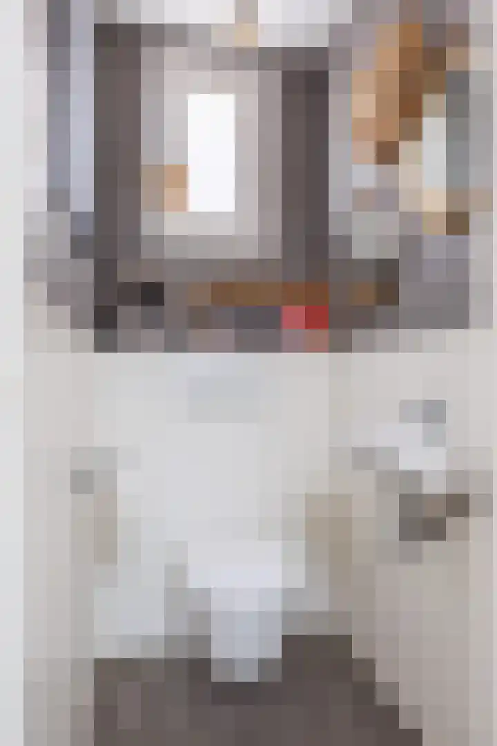 Lomboklaan 1 Leersum thumbnail 21