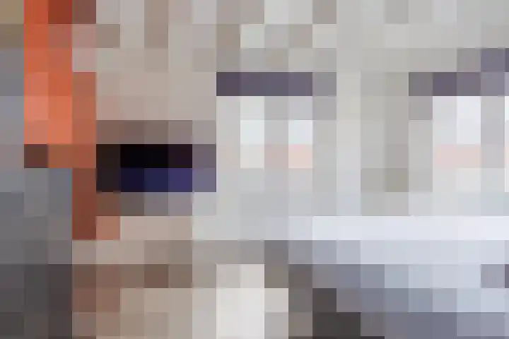 Lomboklaan 1 Leersum thumbnail 28
