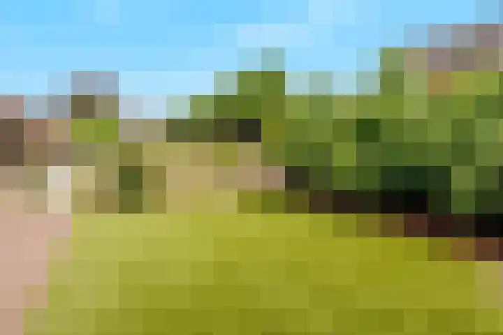Lomboklaan 1 Leersum thumbnail 33