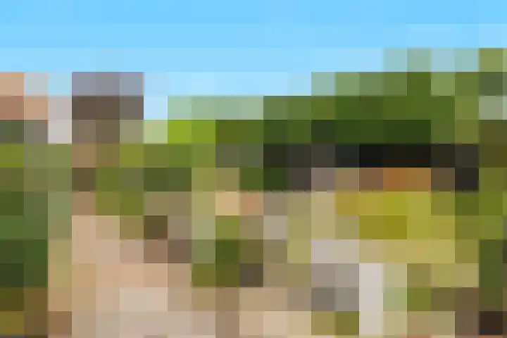 Lomboklaan 1 Leersum thumbnail 34