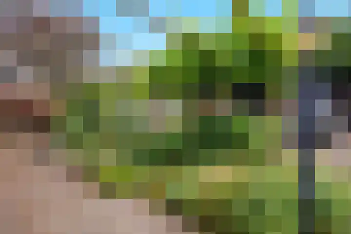 Lomboklaan 1 Leersum thumbnail 39