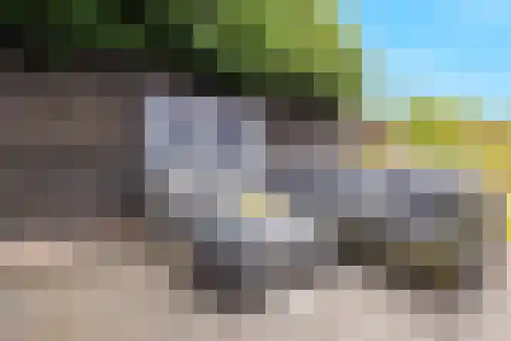 Lomboklaan 1 Leersum thumbnail 40