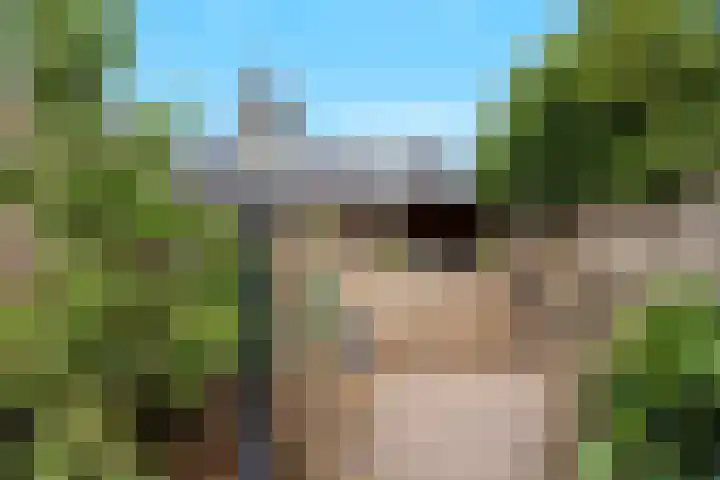 Lomboklaan 1 Leersum thumbnail 41