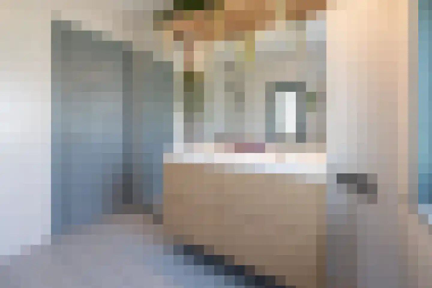 Lomboklaan 2 Leersum thumbnail 22