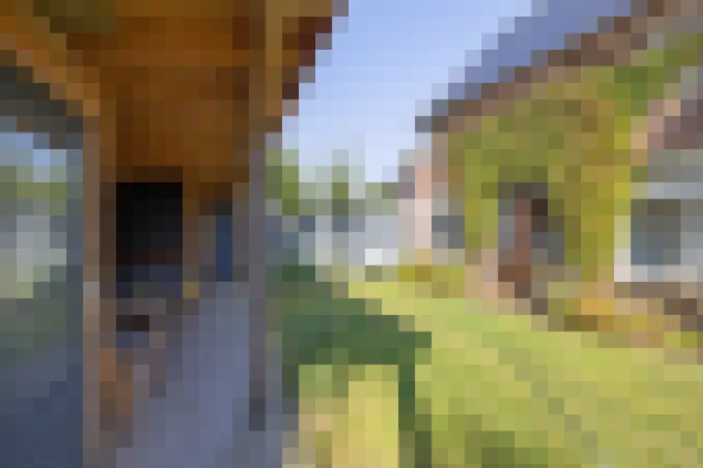 Lomboklaan 2 Leersum thumbnail 33