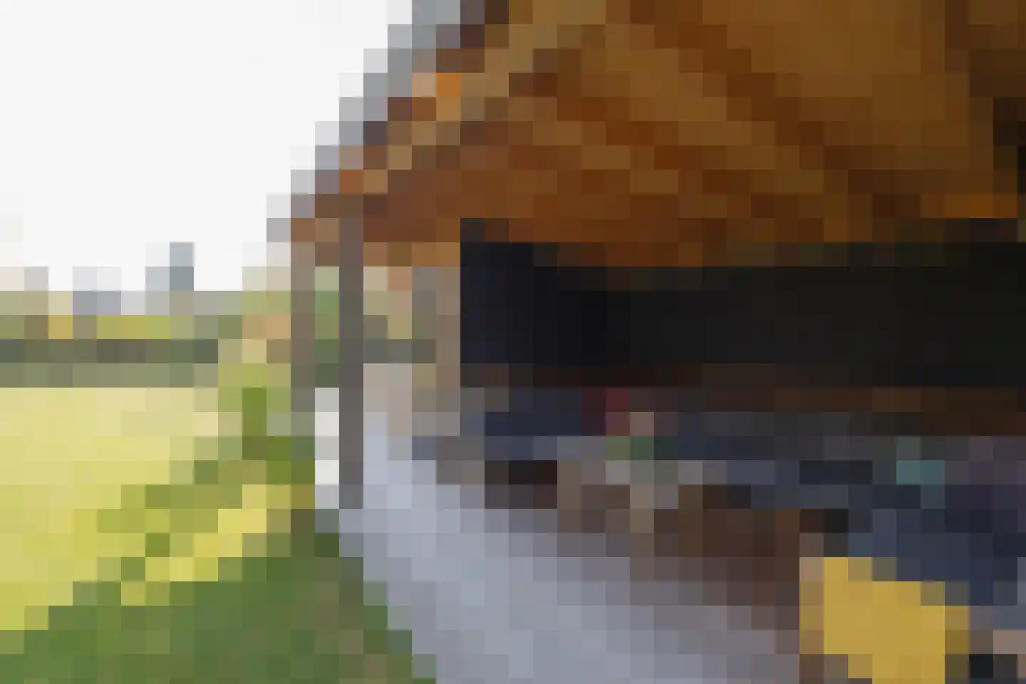 Lomboklaan 2 Leersum thumbnail 35
