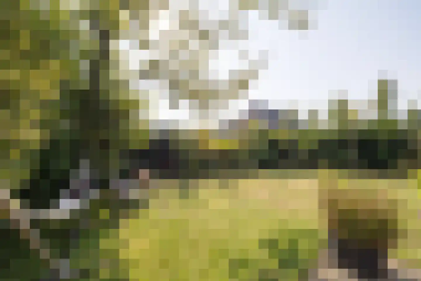 Lomboklaan 2 Leersum thumbnail 39