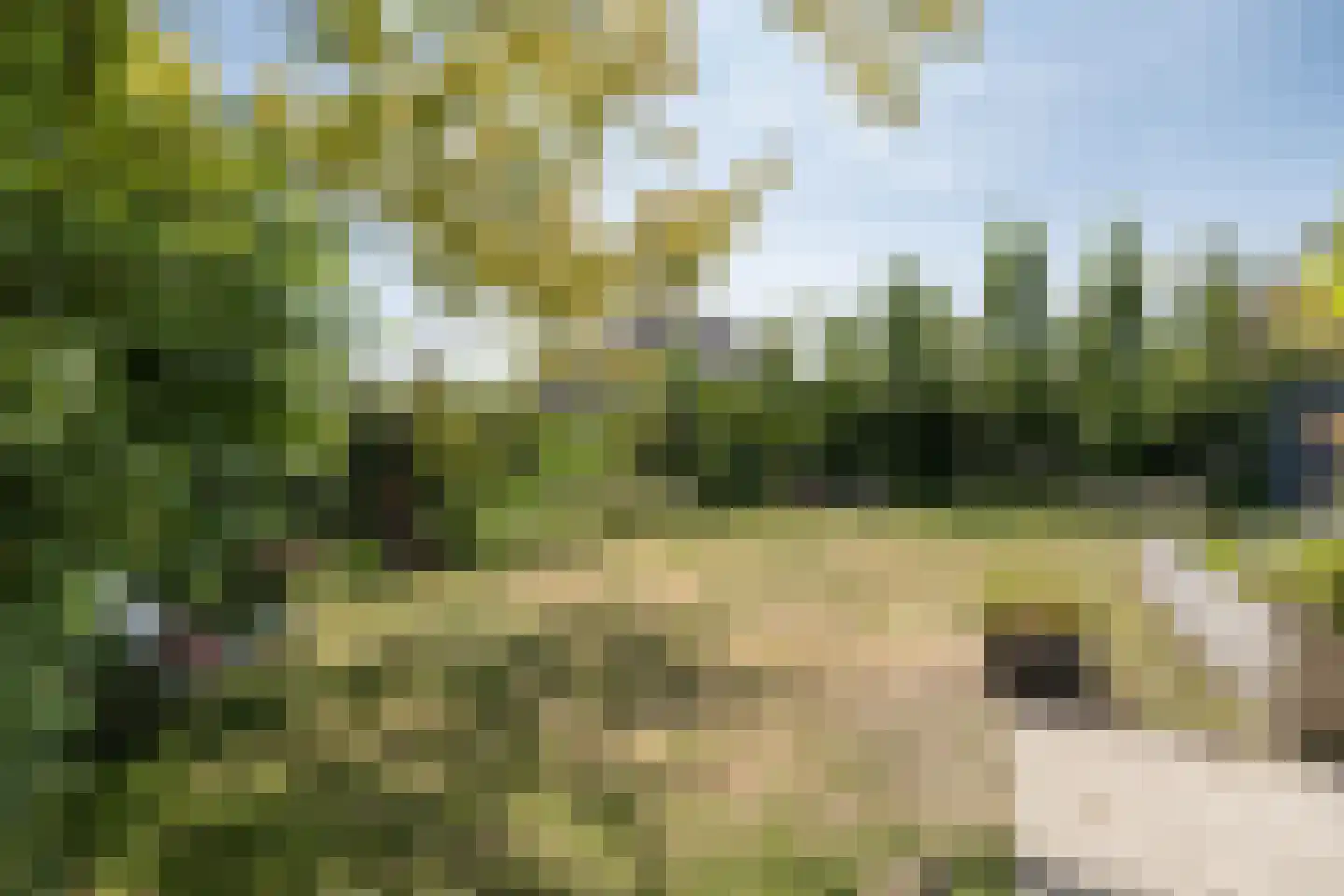 Lomboklaan 2 Leersum thumbnail 48