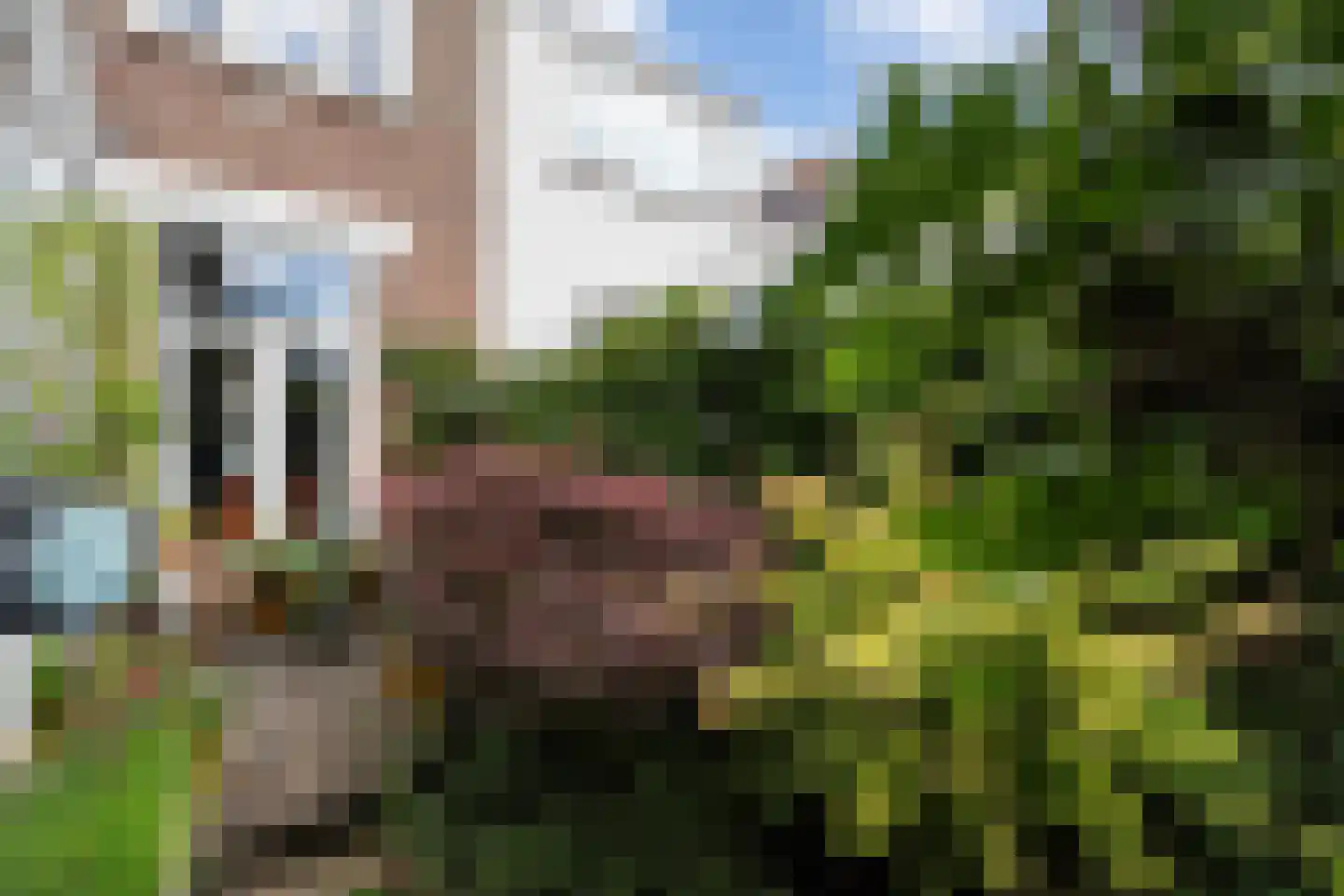 Lombokstraat 13 Dordrecht thumbnail 18
