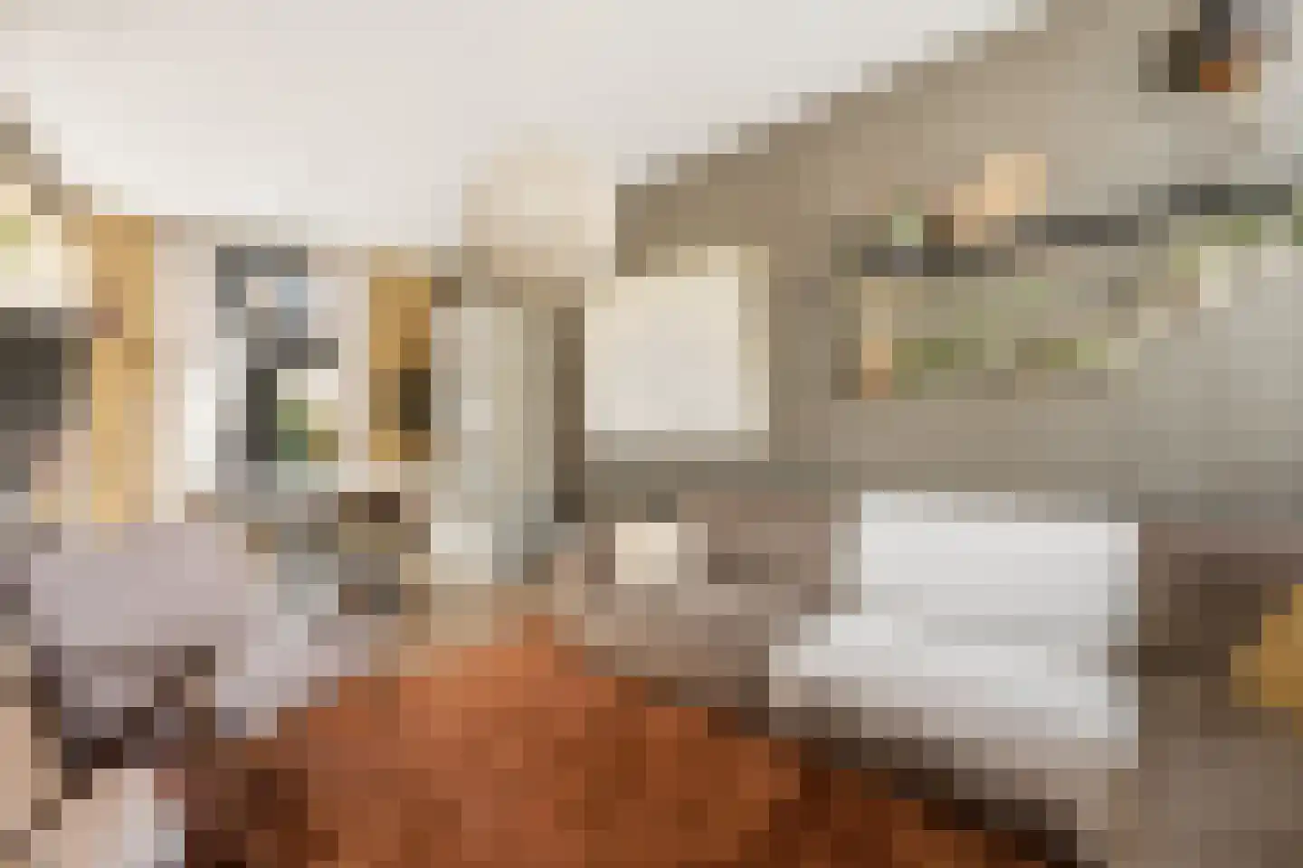 Lombokstraat 18 Dordrecht thumbnail 6