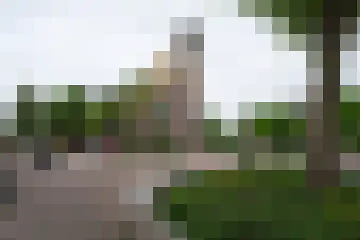 Lombokstraat 3 A E Utrecht thumbnail 20