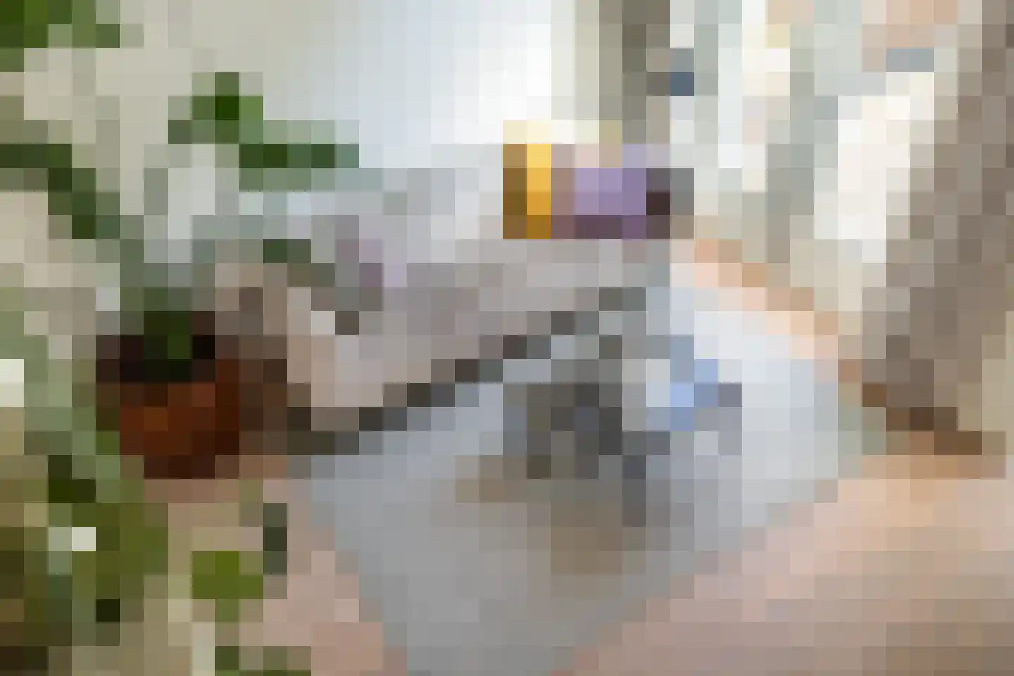 Lombokstraat 42 Utrecht thumbnail 12