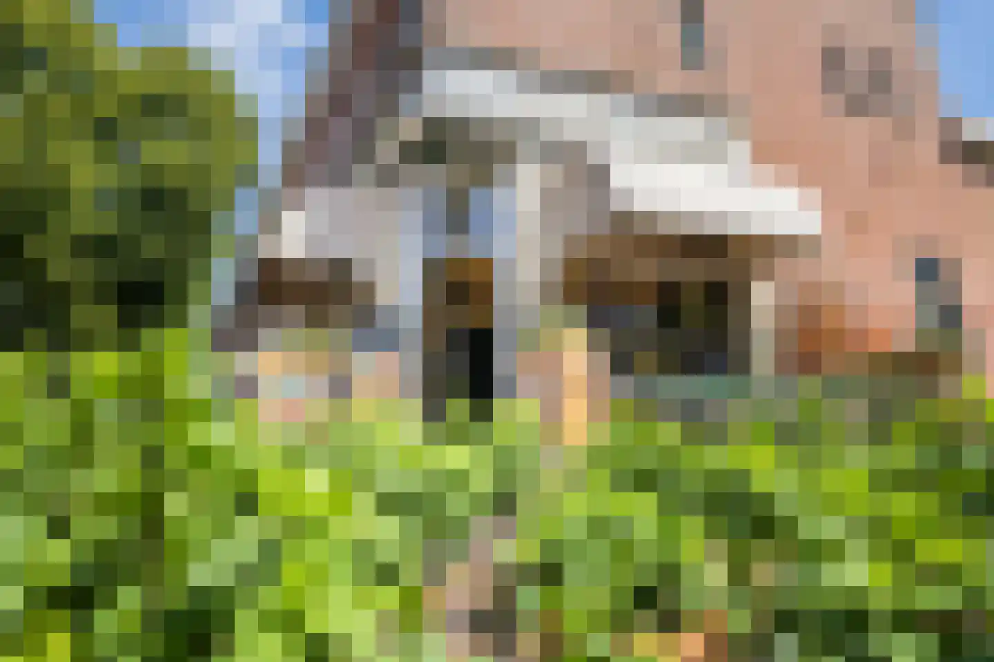 Lombokstraat 42 Utrecht thumbnail 48