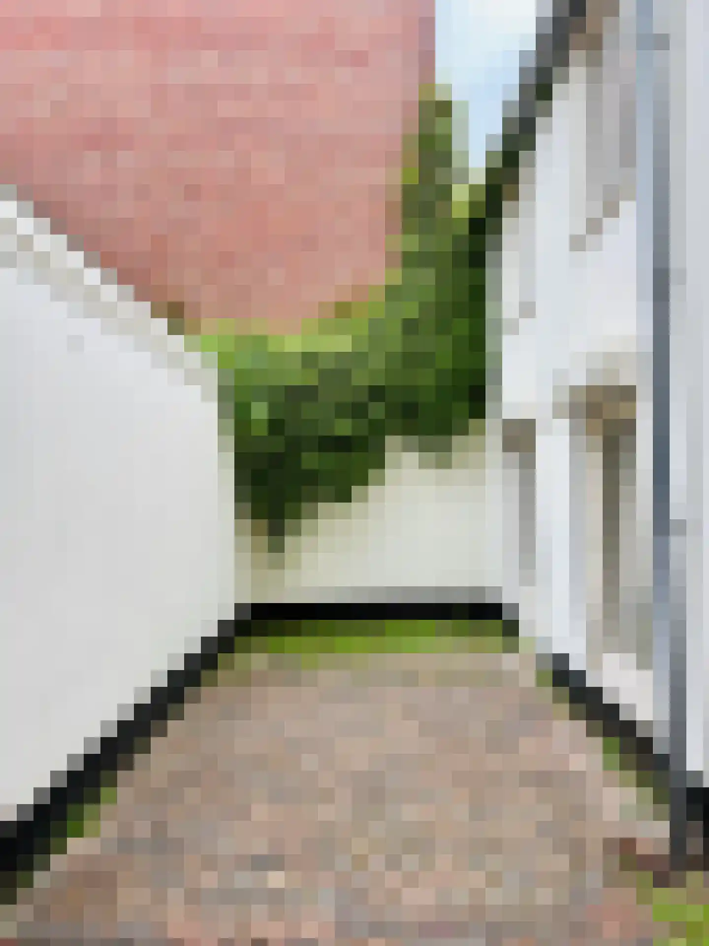 Lombokstraat 7 Den Haag thumbnail 20