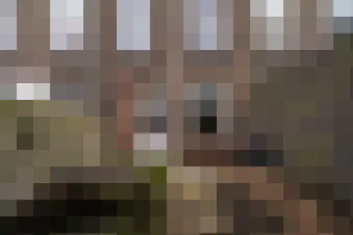 Lombokstraat 77 Utrecht thumbnail 18