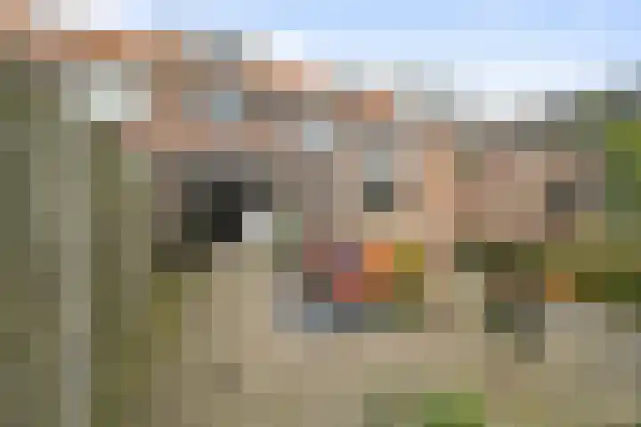 Lombokstraat 9 Den Helder thumbnail 17