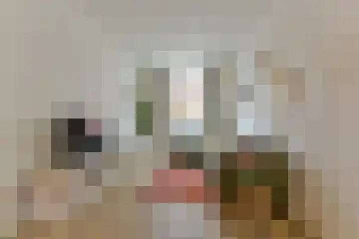 Lombokstraat 94 Utrecht thumbnail 8