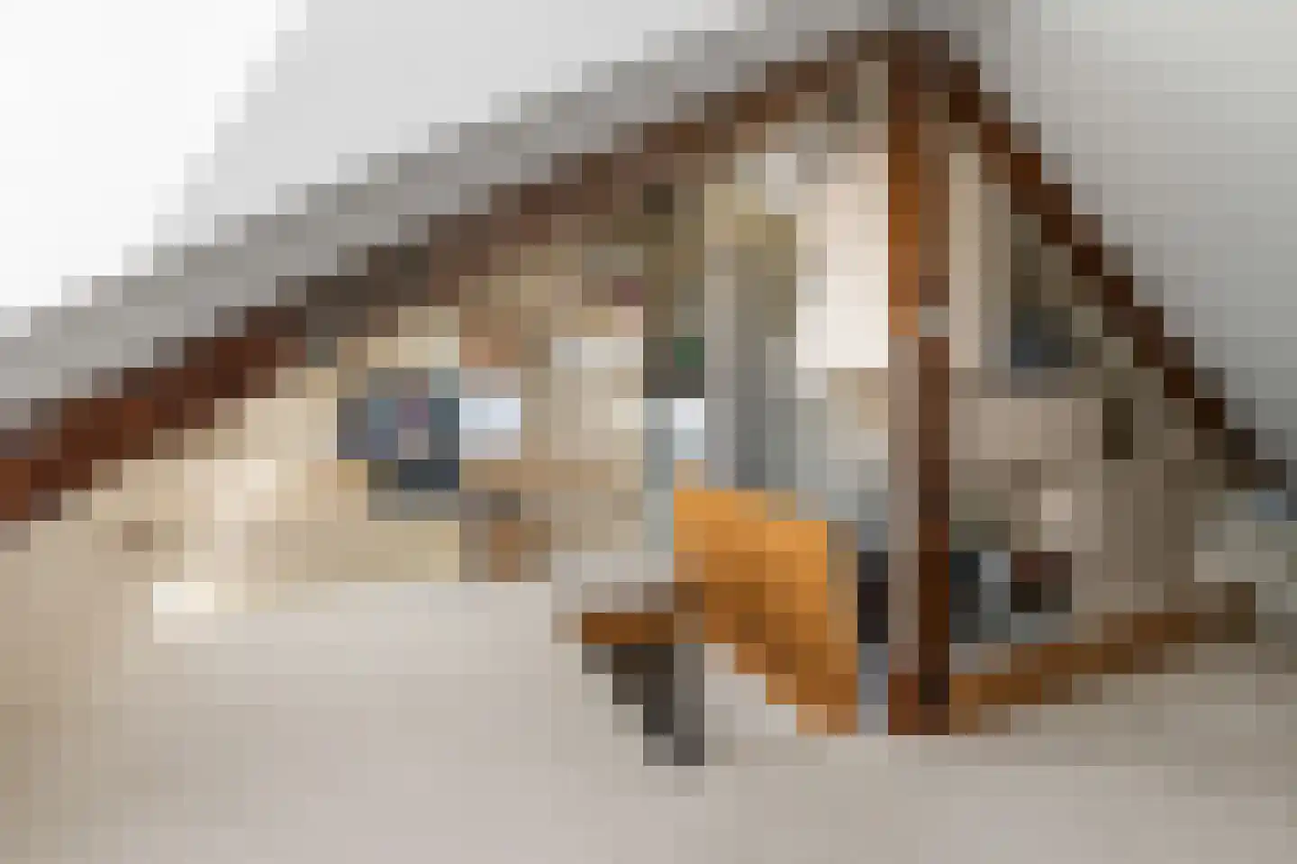 Lombokstraat 96 Utrecht thumbnail 20