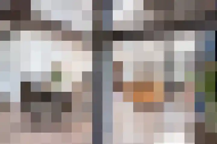Lombokweg 7 Eerbeek thumbnail 11