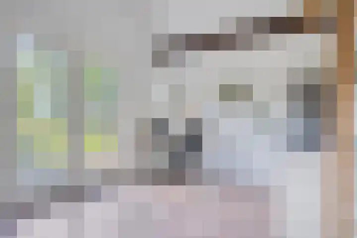 Lombokweg 7 Eerbeek thumbnail 15