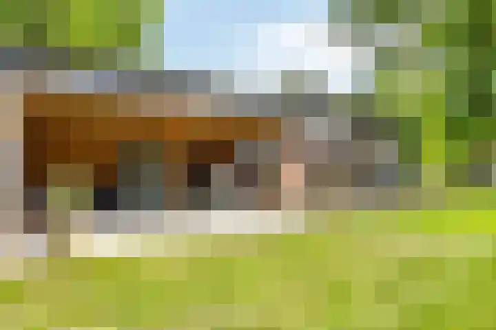 Lombokweg 7 Eerbeek thumbnail 23