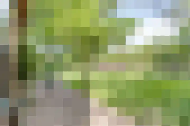 Lombokweg 7 Eerbeek thumbnail 24