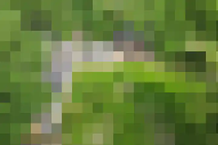Lombokweg 7 Eerbeek thumbnail 25
