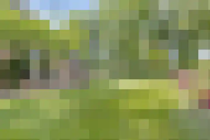 Lombokweg 7 Eerbeek thumbnail 26