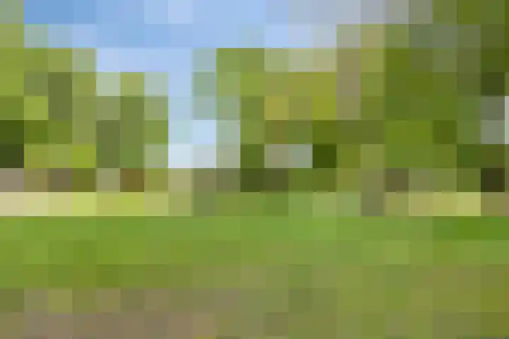 Lombokweg 7 Eerbeek thumbnail 27