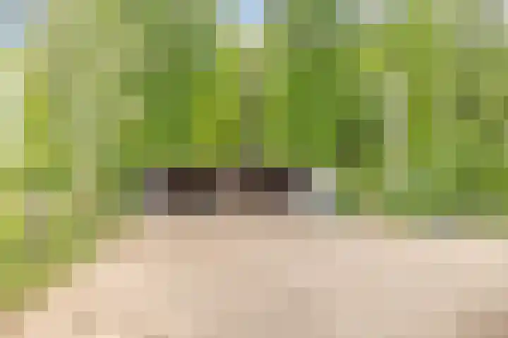 Lombokweg 7 Eerbeek thumbnail 28