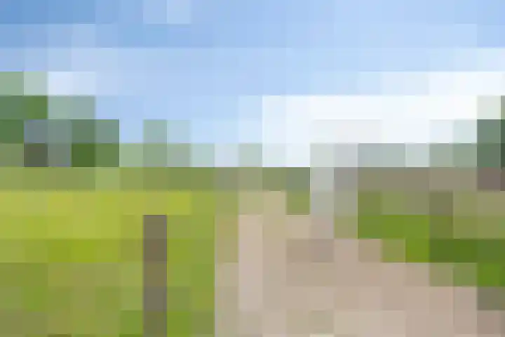 Lombokweg 7 Eerbeek thumbnail 29