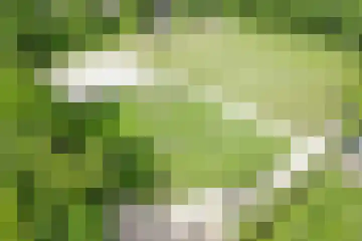 Lombokweg 7 Eerbeek thumbnail 30