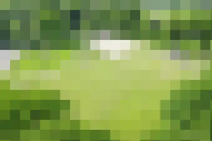 Lombokweg 7 Eerbeek thumbnail 31