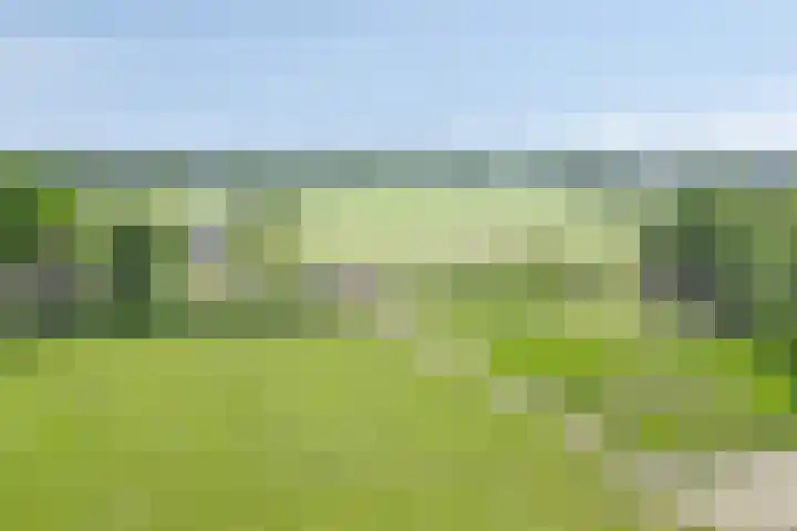 Lombokweg 7 Eerbeek thumbnail 32