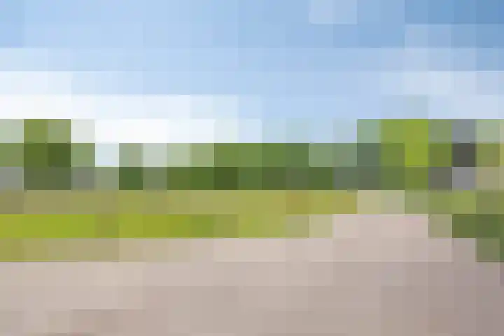 Lombokweg 7 Eerbeek thumbnail 33