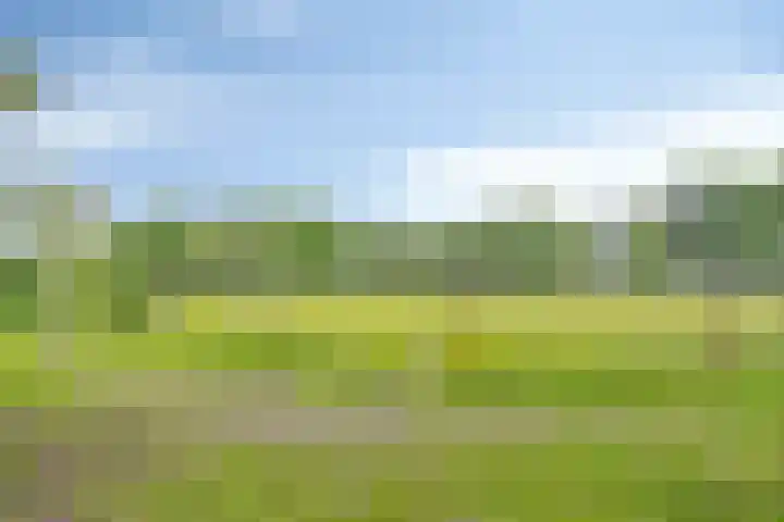 Lombokweg 7 Eerbeek thumbnail 34