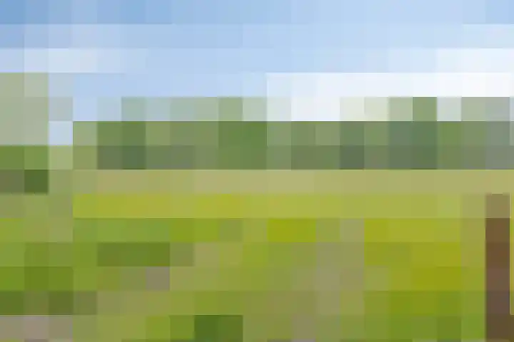 Lombokweg 7 Eerbeek thumbnail 35