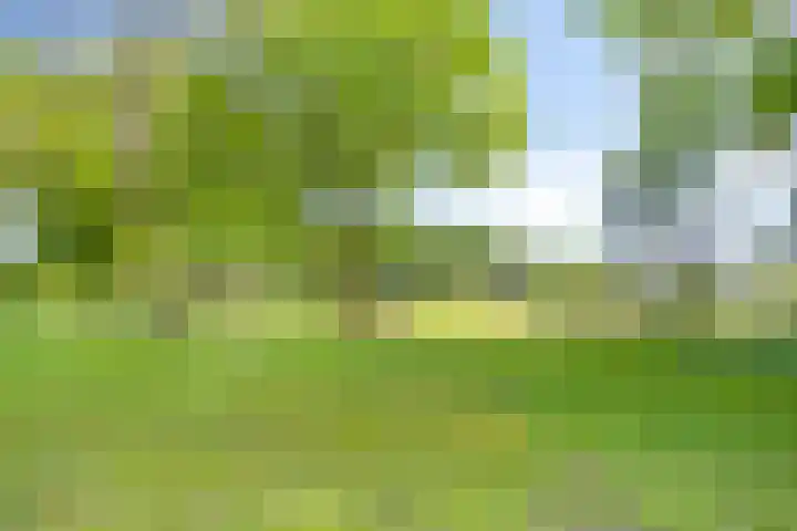 Lombokweg 7 Eerbeek thumbnail 36