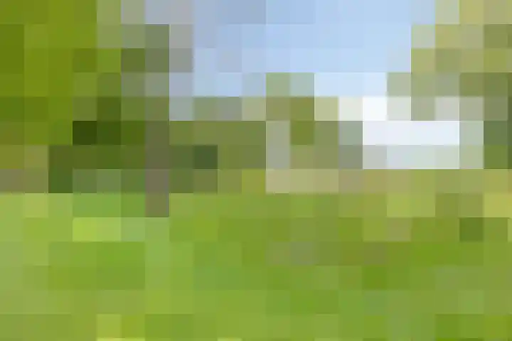 Lombokweg 7 Eerbeek thumbnail 38