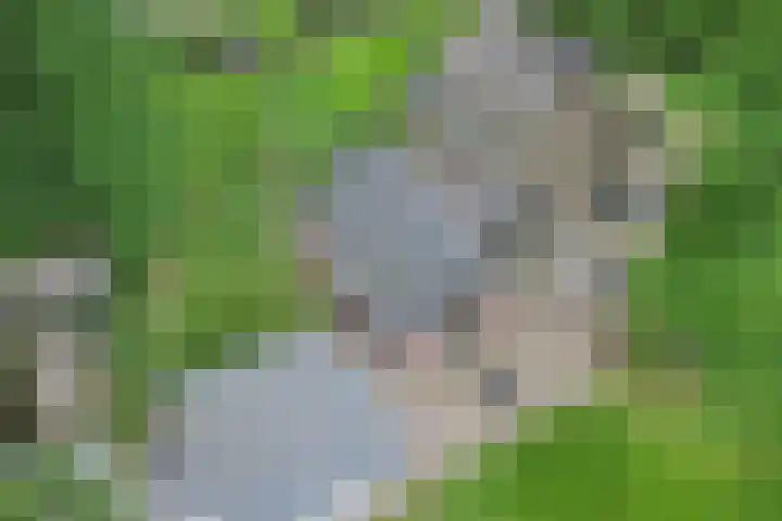 Lombokweg 7 Eerbeek thumbnail 39