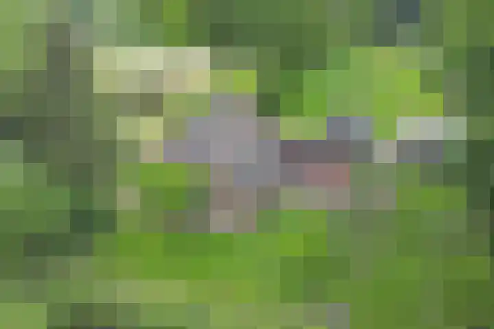 Lombokweg 7 Eerbeek thumbnail 4