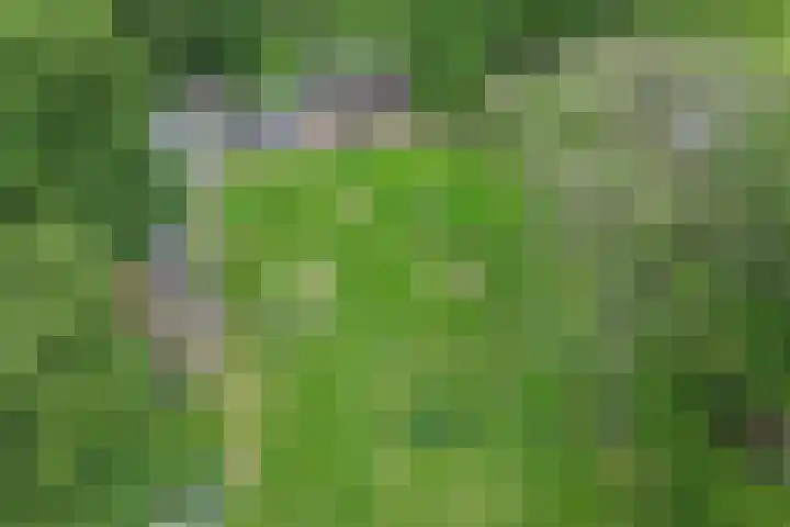 Lombokweg 7 Eerbeek thumbnail 40
