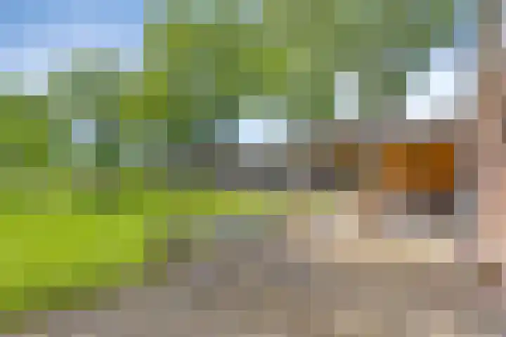 Lombokweg 7 Eerbeek thumbnail 41