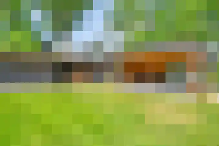 Lombokweg 7 Eerbeek thumbnail 42