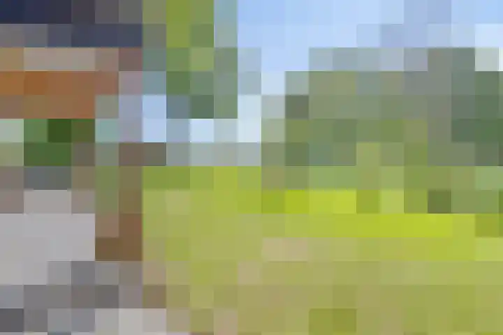 Lombokweg 7 Eerbeek thumbnail 43