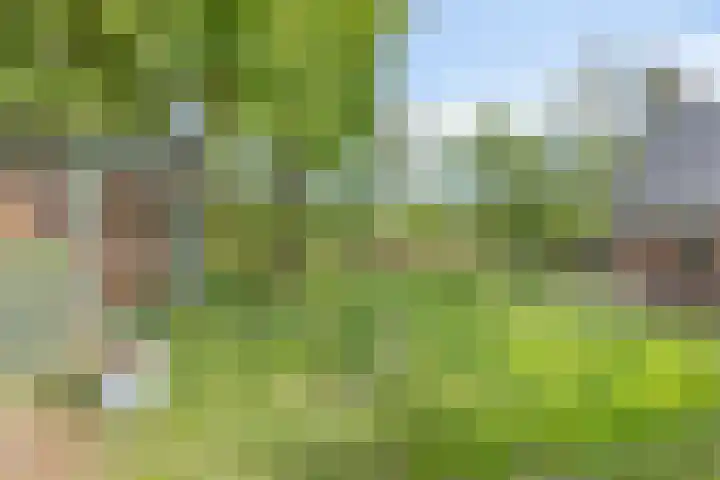 Lombokweg 7 Eerbeek thumbnail 44