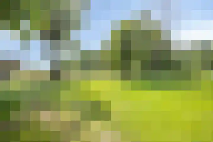 Lombokweg 7 Eerbeek thumbnail 45