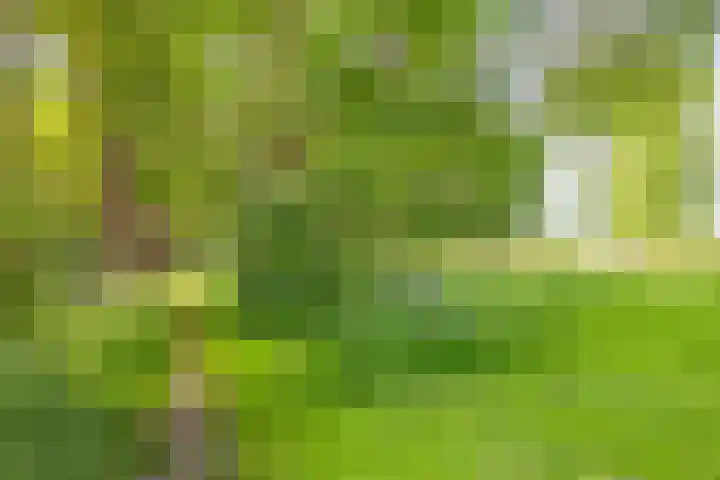 Lombokweg 7 Eerbeek thumbnail 46